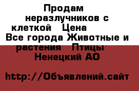 Продам 2 неразлучников с клеткой › Цена ­ 2 500 - Все города Животные и растения » Птицы   . Ненецкий АО